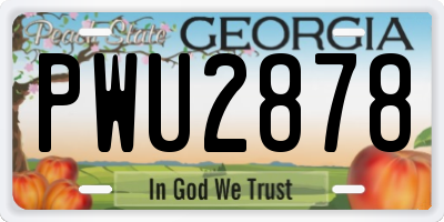 GA license plate PWU2878