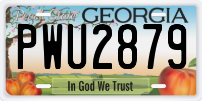 GA license plate PWU2879