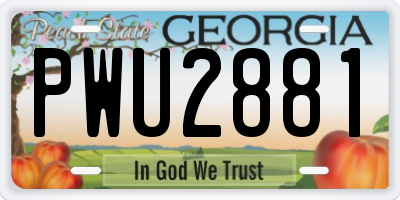 GA license plate PWU2881