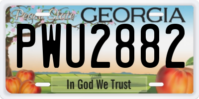 GA license plate PWU2882