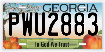 GA license plate PWU2883