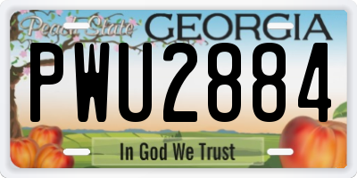 GA license plate PWU2884