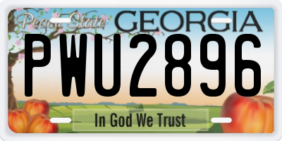 GA license plate PWU2896