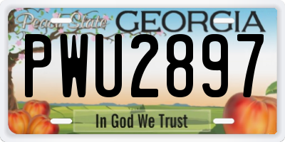 GA license plate PWU2897