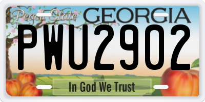 GA license plate PWU2902