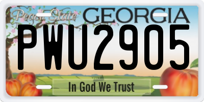 GA license plate PWU2905