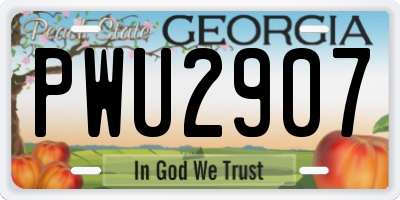 GA license plate PWU2907