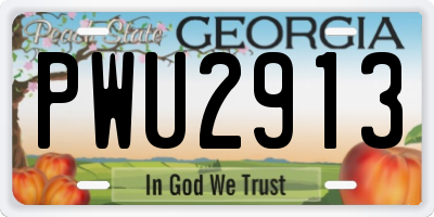 GA license plate PWU2913