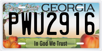 GA license plate PWU2916