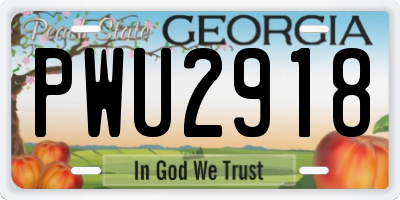 GA license plate PWU2918