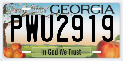 GA license plate PWU2919