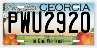 GA license plate PWU2920