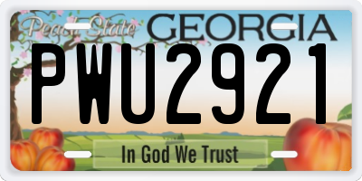 GA license plate PWU2921