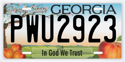 GA license plate PWU2923