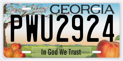 GA license plate PWU2924