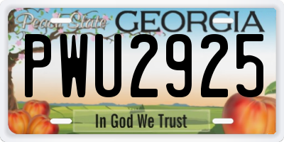 GA license plate PWU2925
