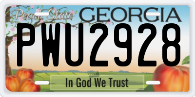 GA license plate PWU2928