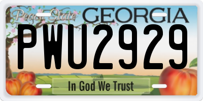 GA license plate PWU2929