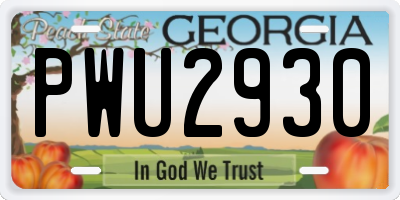 GA license plate PWU2930