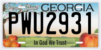 GA license plate PWU2931