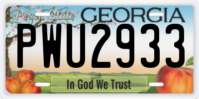 GA license plate PWU2933