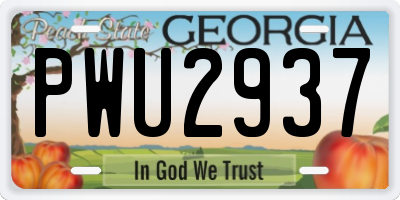 GA license plate PWU2937