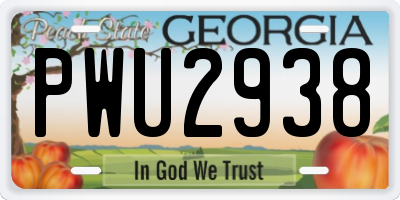 GA license plate PWU2938