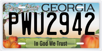 GA license plate PWU2942