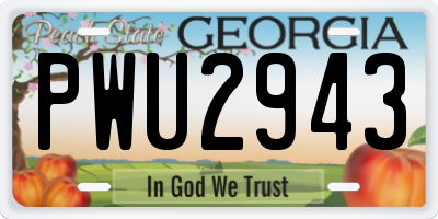 GA license plate PWU2943