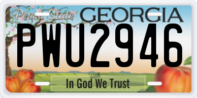 GA license plate PWU2946