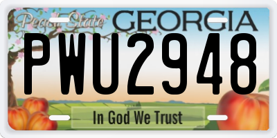 GA license plate PWU2948