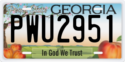 GA license plate PWU2951