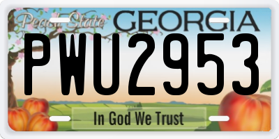 GA license plate PWU2953