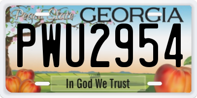 GA license plate PWU2954