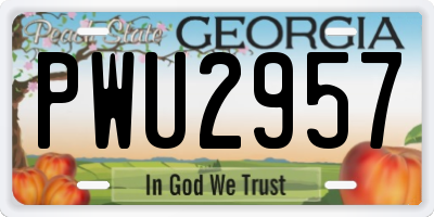 GA license plate PWU2957