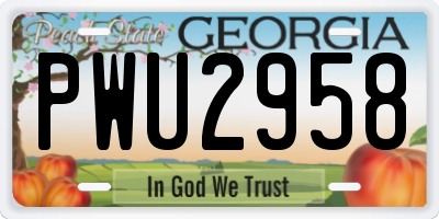GA license plate PWU2958
