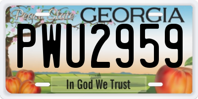 GA license plate PWU2959