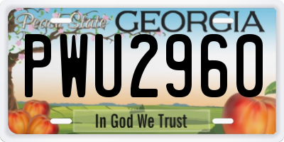 GA license plate PWU2960