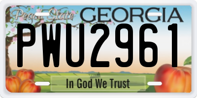 GA license plate PWU2961