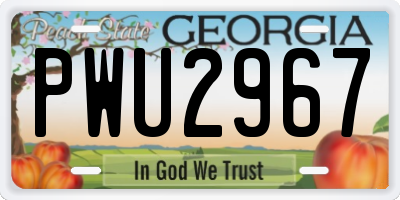 GA license plate PWU2967