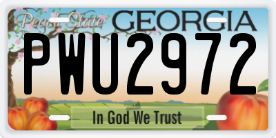 GA license plate PWU2972