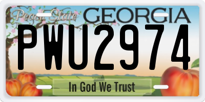 GA license plate PWU2974