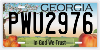 GA license plate PWU2976