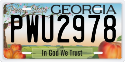 GA license plate PWU2978