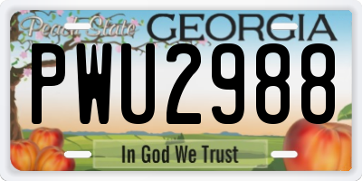 GA license plate PWU2988