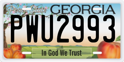 GA license plate PWU2993