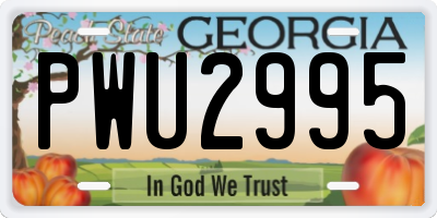 GA license plate PWU2995