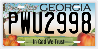 GA license plate PWU2998