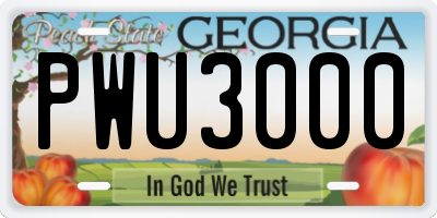GA license plate PWU3000