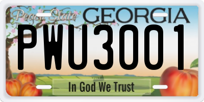GA license plate PWU3001